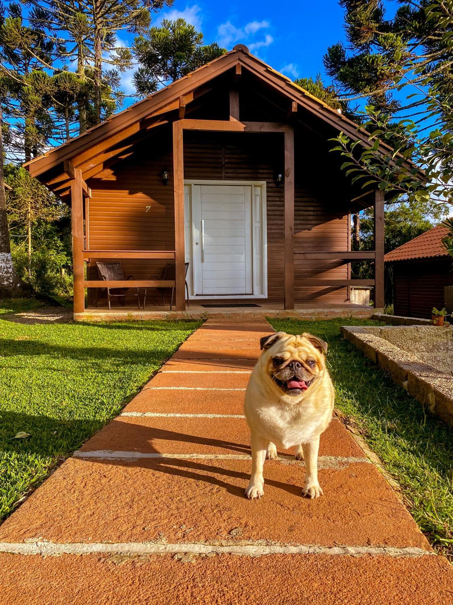Pousada Cardoso Cambara do Sul Exterior photo